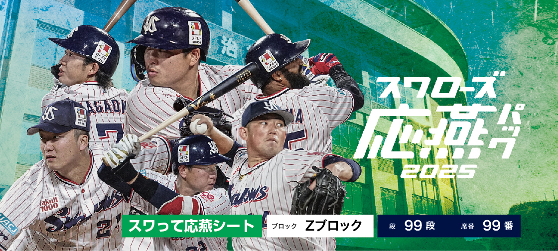 スワローズ応燕パック2024 ホーム外野B指定席